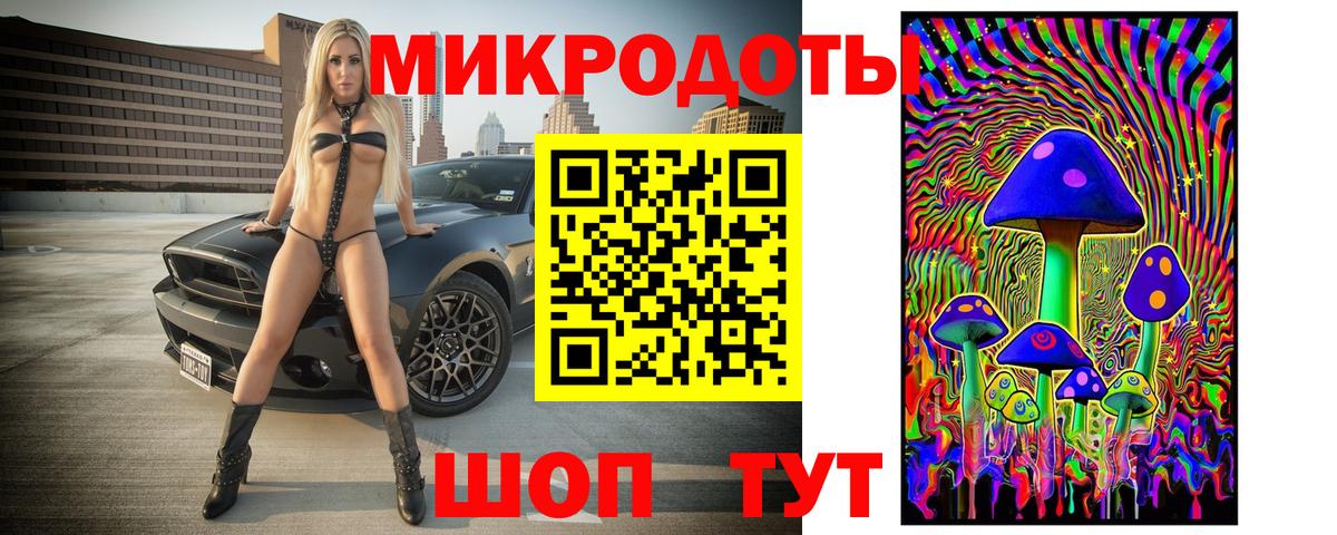 Галлюциногенные грибы Cubensis Кизилюрт